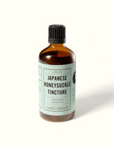 Japanese Honeysuckle Tincture (Lonicera japonica)
