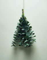 Napiers Aromatherapy Eucalyptus Shower Bunch