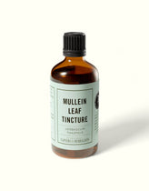 Mullein Leaf Tincture (Verbascum thapsus)