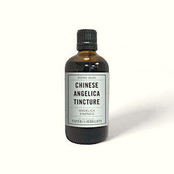 Chinese Angelica Tincture (Angelica sinensis)