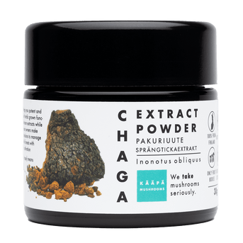 KAAPA Organic Chaga Extract Powder 30g