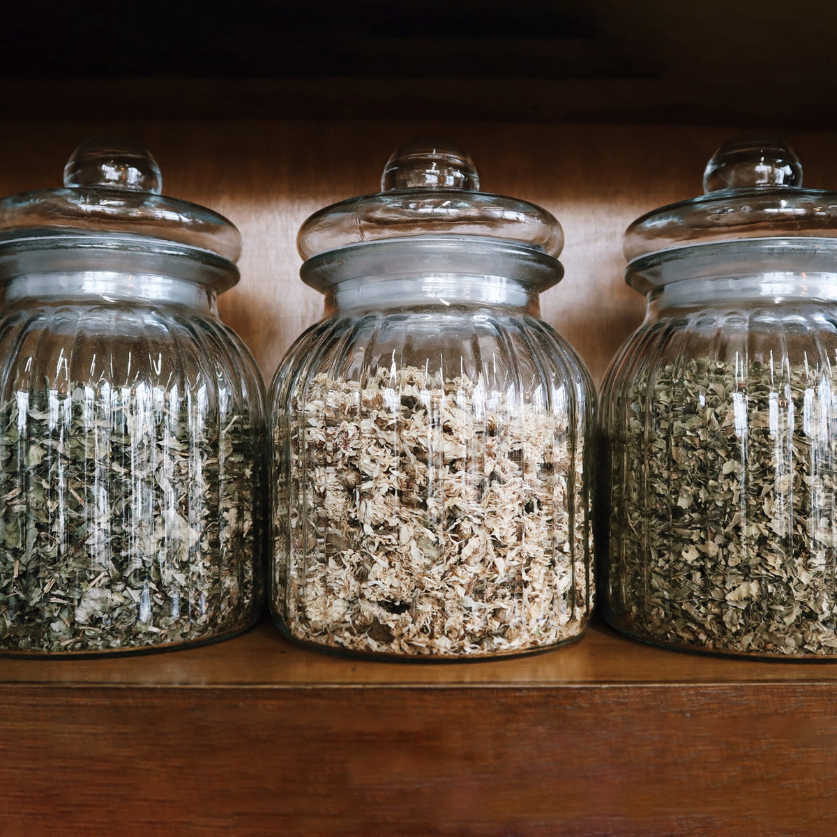 Chinese Foxglove Dried Herb