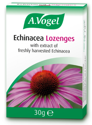 Echinacea Lozenges 30g - Napiers