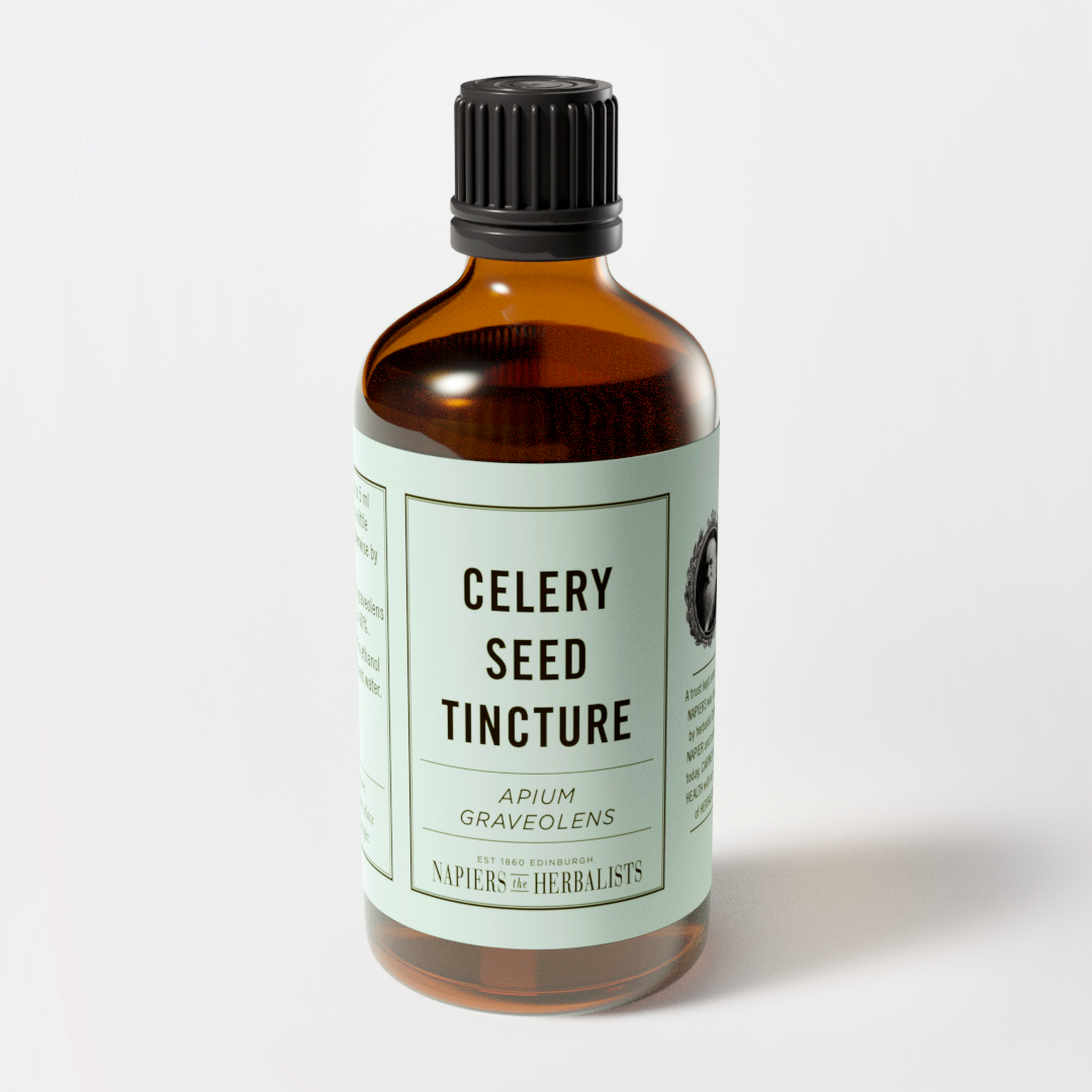 Celery Seed Tincture (Apium graveolens)