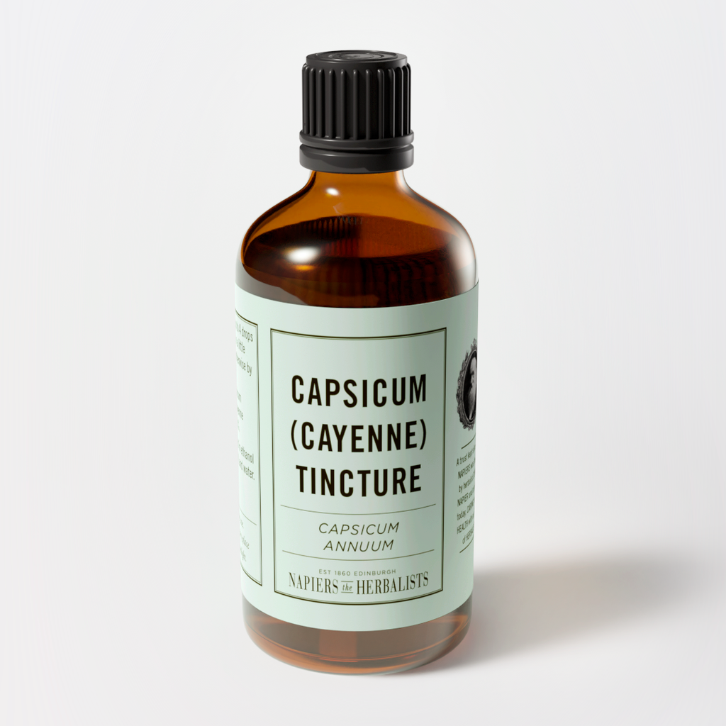 Cayenne Tincture (Capsicum annuum) - Napiers