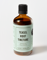 Teasel Root Tincture (Dipsacus fullonum) - Napiers