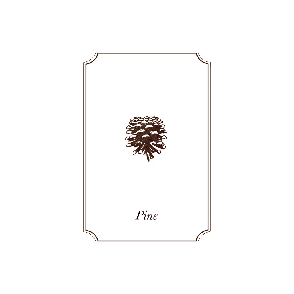 Napiers Pine Essential Oil - Napiers