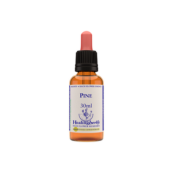 Healing Herbs Pine - Napiers