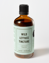Wild Lettuce Tincture (Lactuca virosa) - Napiers