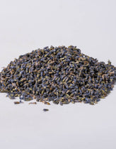 Lavender Flowers (Lavandula angustifolia) - Napiers