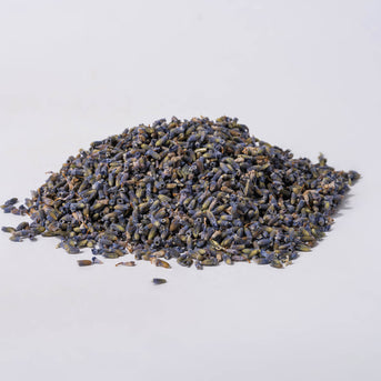 Lavender Flowers (Lavandula angustifolia) - Napiers
