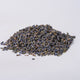 Lavender Flowers (Lavandula angustifolia) - Napiers