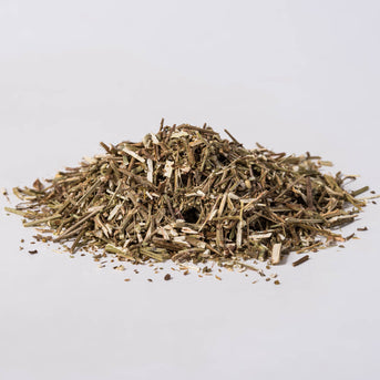 Vervain Herb (Verbena officinalis) - Napiers