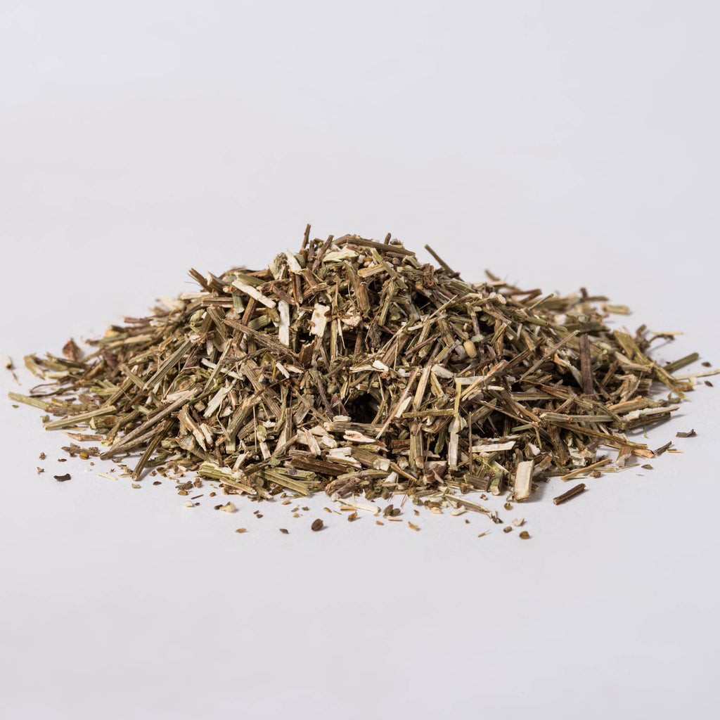 Vervain Herb (Verbena officinalis) - Napiers
