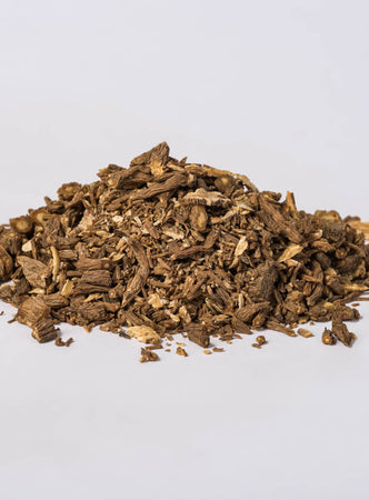 Chinese Angelica Root (Angelica sinensis) - Napiers