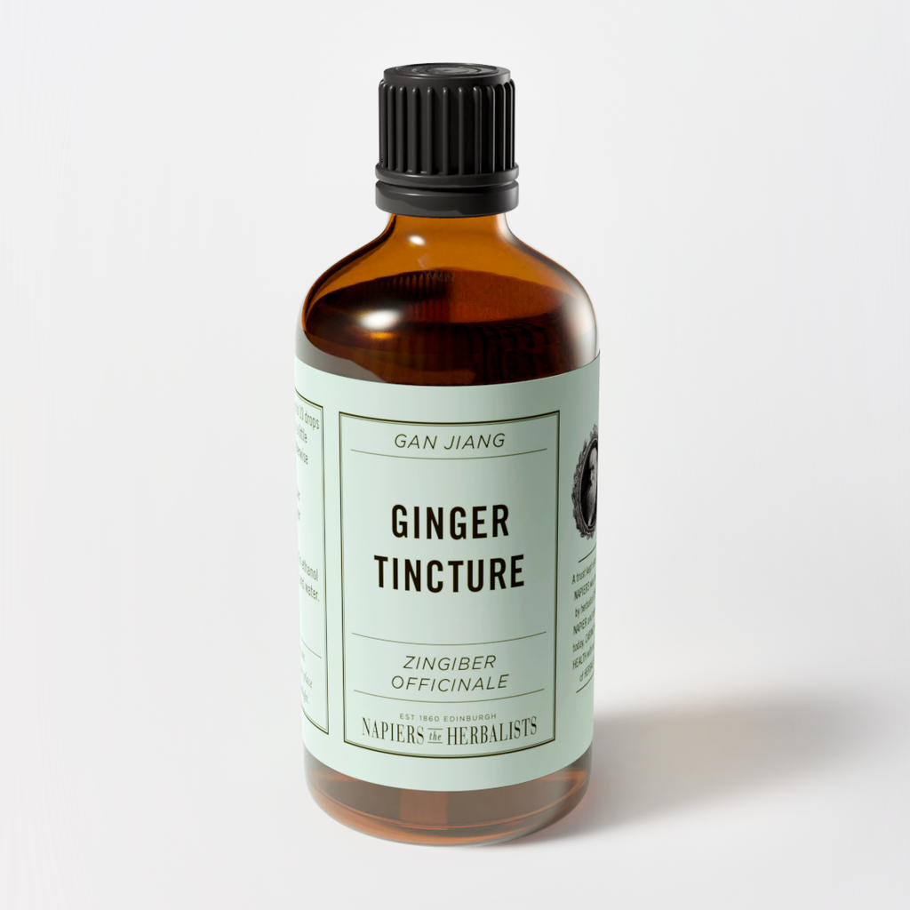 Ginger Tincture (Zingiber officinalis) - Napiers
