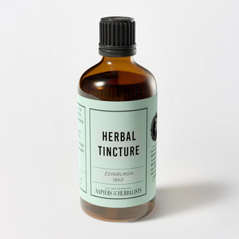 Milk Thistle Glycerite (Silybum marianum) - Napiers