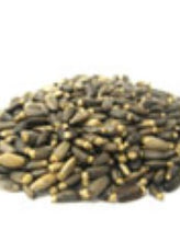 Milk Thistle Seed (Silybum marianum) - Napiers